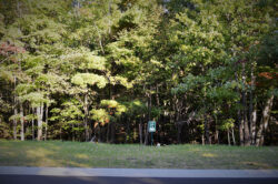 Lot 17 North Creek