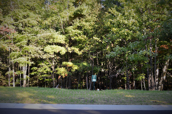 Lot 17 North Creek