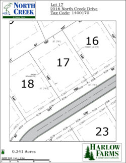 Lot 17